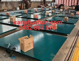Cân heo điện tử 500kg - cân gia súc 500kg